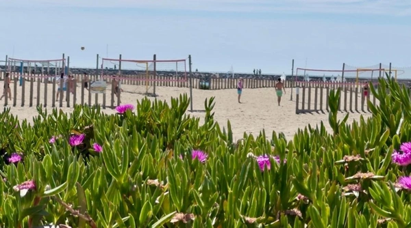 Appartement à vendre 5 pièces  CARNON PLAGE (34)