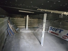Propriété à vendre 20 pièces CHATEAU RENAULT (37)