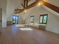 BELLE MAISON FAMILIALE – 160 m² – TERRAIN DE 1 500 m² – SOUS-SOL COMPLET / Ballan-Miré 