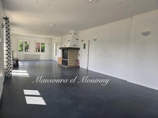 Propriété à vendre 20 pièces CHATEAU RENAULT (37)