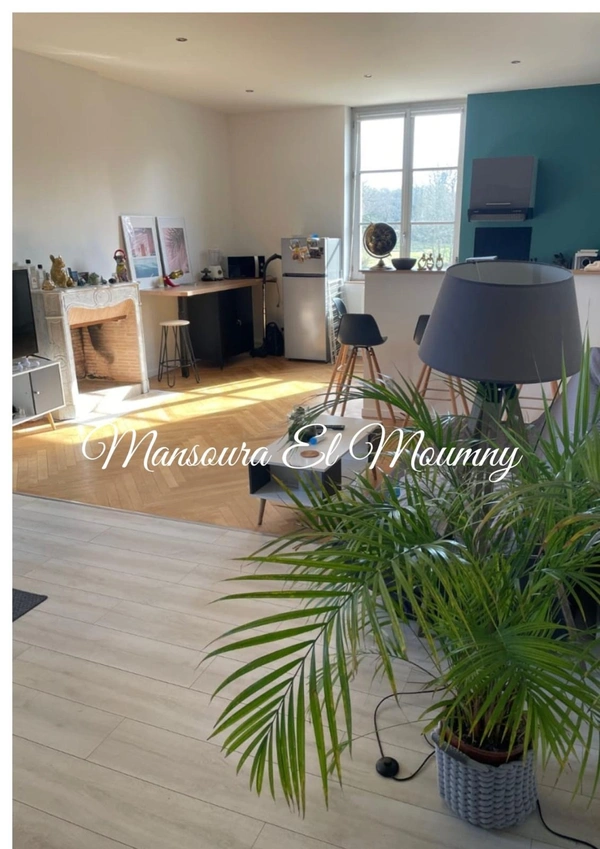 ✨ APPARTEMENT LUMINEUX DANS DEMEURE DE CARACTÈRE ✨ Savonnière  (37)