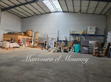 LOCAL COMMERCIAL MODERNE ET CLES EN MAIN (37)
