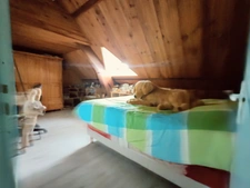 Maison à vendre 6 pièces SAINT DENIS DE PILE (33)
