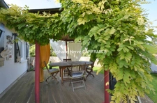 Maison familiale avec annexe indépendante à Ver-sur-Mer, 6 pièces, (14) Calvados