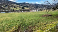 Terrain à vendre  CORNIMONT (88)