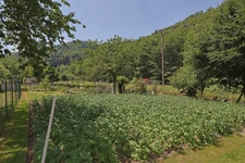 VENTE EN VIAGER OCCUPÉ – MAISON 120 m² AVEC JARDIN ET GARAGE