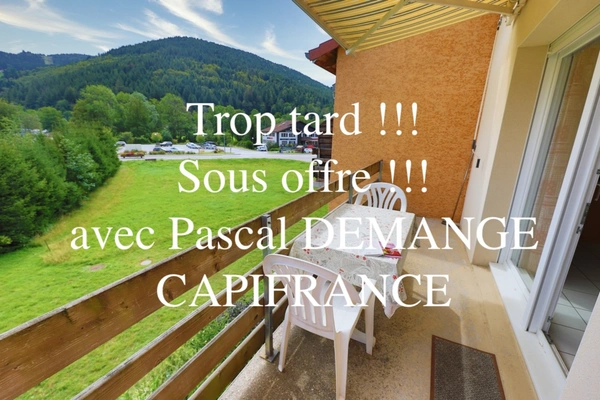 Dpt Vosges (88), à vendre VENTRON appartement T3 de 58,33 m²  