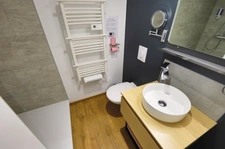 Appartement à vendre 2 pièces BUSSANG (88)