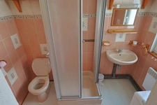 Appartement à vendre 4 pièces en duplex avec garage  (88)