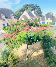 Charmante maison de 70m2 dans petit ensemble immobilier en bord de mer