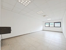 SARROLA-CARCOPINO – BALEONE CENTRE – PÉPINIÈRE DE BUREAUX D'ENVIRON 342 m²