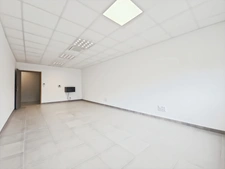 SARROLA-CARCOPINO – BALEONE CENTRE – PÉPINIÈRE DE BUREAUX D'ENVIRON 342 m²