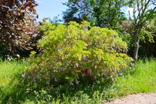 Maison à vendre 4 pièces SIORAC EN PERIGORD, sous-sol de 100m² exploitable  jardin 1933m².