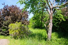 Maison à vendre 4 pièces SIORAC EN PERIGORD, sous-sol de 100m² exploitable  jardin 1933m².
