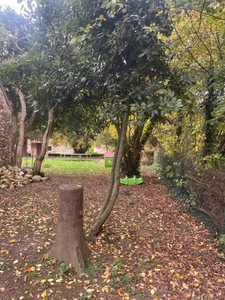 Maison à vendre 5 pièces  ()
