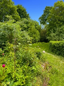 Propriete à vendre 5 pièces proche de SENLIS (60) - 3 chambres possibilité 4 - Jardin 2100m2 avec Piscine - A1 à 10 min / CDG 20 min / Ecoles privées et publiques / Commodités