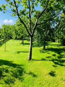 Maison en Bois  à vendre 9 pièces LE TREHOU (29)