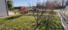 House for sale, 6 rooms, BRION PRES THOUET (79)