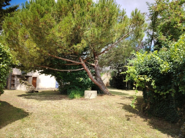 Maison à vendre 9 pièces IRAIS (79)