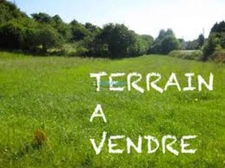 Terrain à vendre de 1 114,00 m² THENEZAY (79)
