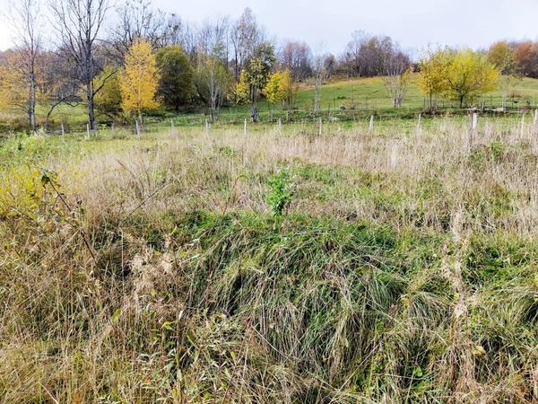 Dpt Savoie (73), à vendre LES DESERTS terrain de 802m2 + permis de construire accordé