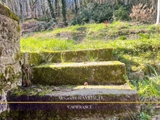 Longère à MELLE (35)