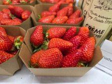 À VENDRE – PRIMEUR / ÉPICERIE – EMPLACEMENT STRATÉGIQUE SUD MONTPELLIER