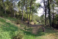 Ensemble de maisons avec 3000 m2 de terrain à Sernin du Plain 