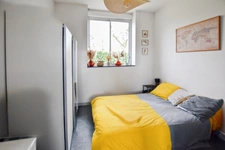 House + two rental apartments with 2455 m2 of land 