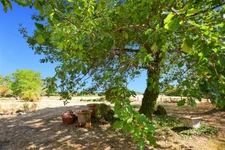 Stone house of 120 m2 with 5112 m2 of land in SAINT EMILAND (71)