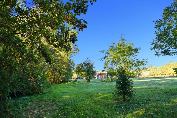 Maison en pierres de 250 m2 avec terrain 4401 m2 à SAINT MAURICE LES COUCHES (71)