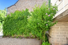 House SAINT MAURICE LES COUCHES of 75m2 with courtyard