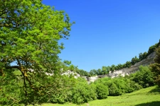 Terrain à bâtir sur une parcelle de 3950 m2 à vendre à Cormot VAUCHIGNON (21)