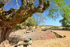 Stone house of 120 m2 with 5112 m2 of land in SAINT EMILAND (71)