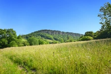 Terrain à bâtir sur une parcelle de 3950 m2 à vendre à Cormot VAUCHIGNON (21)
