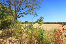 Stone house of 120 m2 with 5112 m2 of land in SAINT EMILAND (71)