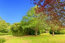 Maison sur sous-sol de 156 m2avec terrain de 4283 m2 à  ANTULLY (71)