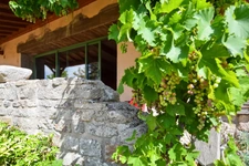 Stone house of 120 m2 with 5112 m2 of land in SAINT EMILAND (71)