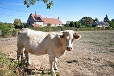 House of 230 m2 on a 763 m2 plot in AUXY (71)