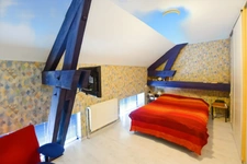 House + two rental apartments with 2455 m2 of land 