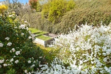 House + two rental apartments with 2455 m2 of land 