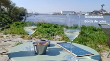  EXCLUSIVE: Beautiful 162 m² house to sell (+ 160 m² basement), Classerie area (Rezé, south of Nantes) 