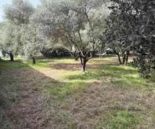 Terrain viabilisé 529 m² – Castries – proche Montpellier