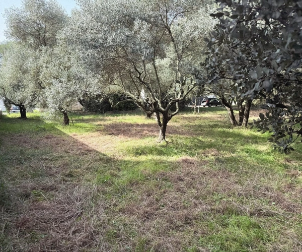 Terrain viabilisé 529 m² – Castries – proche Montpellier