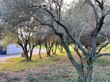 Terrain parfait pour réaliser votre projet - 401 m2 - Castries (34)