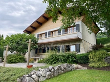 A Vendre : Maison de maçon dans un cadre d'exception - Faverges (74210)