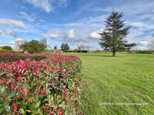 Dpt Allier (03) A vendre à Varennes sur Allier - Longère T6 garages, grande terrasse couverte, terrain clos et arboré de 4621m2