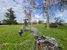 Dpt Allier (03) A vendre à Varennes sur Allier - Longère T6 garages, grande terrasse couverte, terrain clos et arboré de 4621m2
