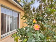 MARINGUES (63) Maison P7, 144 m², Piscine, terrasse bioclimatique, Garage + Carport, jardin 