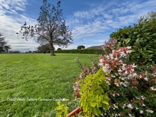 Dpt Allier (03) A vendre à Varennes sur Allier - Longère T6 garages, grande terrasse couverte, terrain clos et arboré de 4621m2